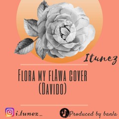 Flora My Flawa Cover (Davido) - Itunez