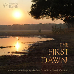The First Dawn: Album Sample