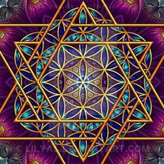 Suddhosi Buddhosi - Mejid