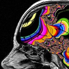 Acid Techno Exploration