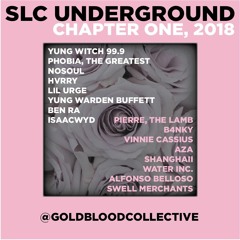 SALT LAKE CITY, CHAPTER ONE, 2018