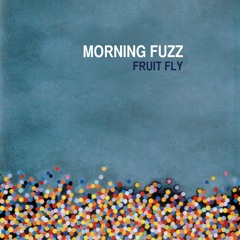 Fruit Fly (Nada Surf)