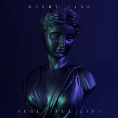 Harry Pane - Beautiful Life
