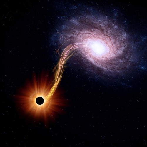 Haryashvas - Blackhole