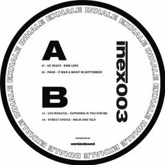 PREMIERE: Leo Woelfel - Euphoria Is You For Me [Inhale Exhale]
