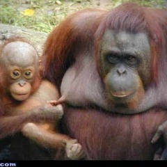 Give Bass Some Trance