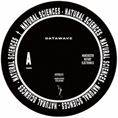 Premiere: Datawave - Stellar Wind [Natural Sciences]