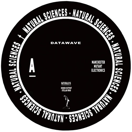 Premiere: Datawave - Stellar Wind [Natural Sciences]