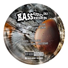 Bass Addict Records 06 - A2 Misspic - Sonar