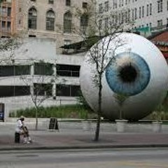 Public Eye