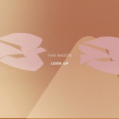 Look Up (produced by Bearcubs + Hight)