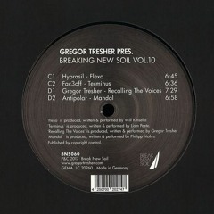 Mandal [Vinyl Master] // Break New Soil Recordings