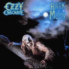 Ozzy Osbourne - Bark At The Moon Vocal Cover
