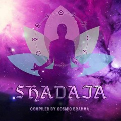 Jajaboriya Mon - ChakraView  - OUT NOW on Brahmasutra Records