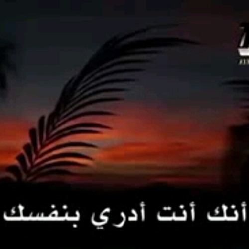 السر الوحيد هو علاقتك بربك