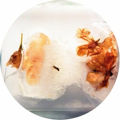 OBQ006 - Various Artists - Reminisce EP