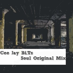 Soul - Cee Jay Bi.Ts Original Mix