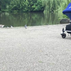 Geluid #16: roerig stadspark