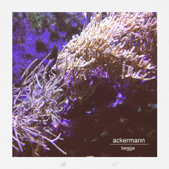 PREMIERE : Ackermann - Batu [Traktor Records]
