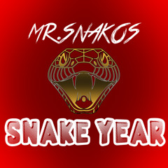 Snake Year (prod by Mr.Snakos)