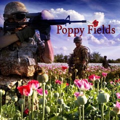 Poppy Fields