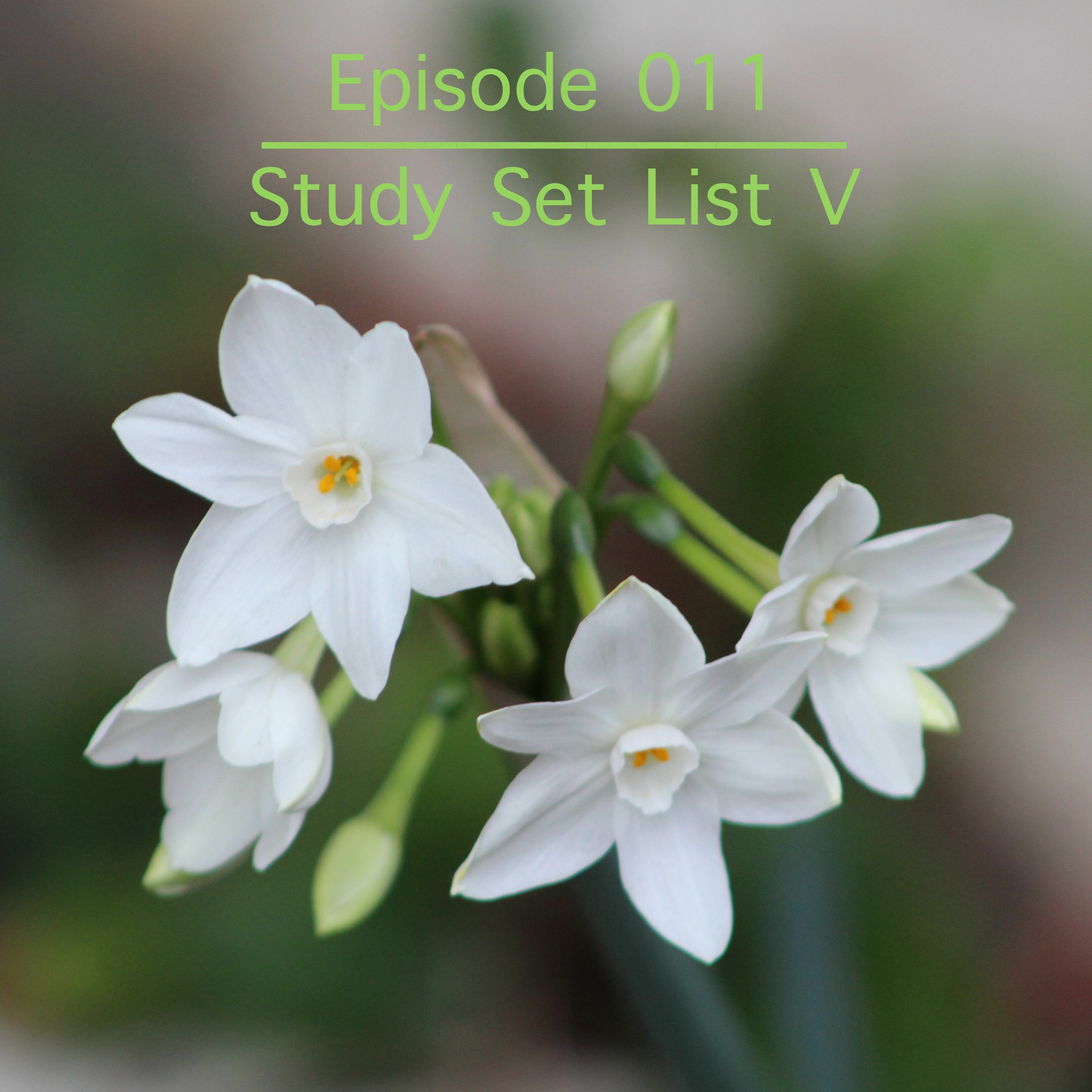 Study Music V episode artwork