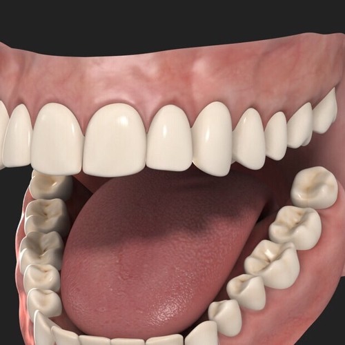 Stream Teeth Grinder by Douglas Grass Listen online for free on