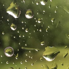 Absinthe musagète - 2014