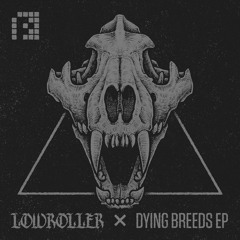 Hardcore / Gabber / Breakcore