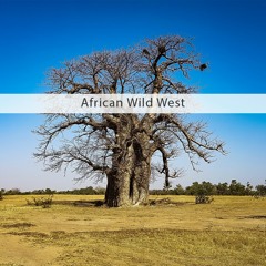 MAFX010 African Wild West Demo