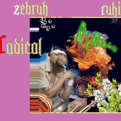 RADICAL - Ft Zebruh.6 ( BONUS TRACKS) :))))