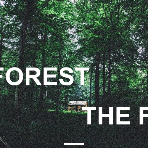 The Forest