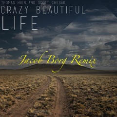 Thomas Hien & Scott Chesk - Crazy Beautiful Life (Jacob Borg Remix)