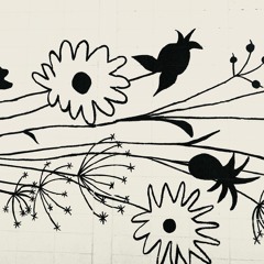 she's casual (the hunna cover)