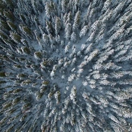 Felix! - One Hundred Ways (Demo)