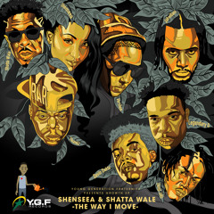 Shenseea & Shatta Wale - The Way I Move