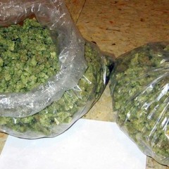 Ace Q - What I Want (prod. h@yden)