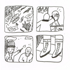 blithe field - building wilderness