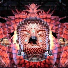 Tipper - Android Jones at Infrasound 2013