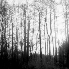 Henheimer - Winterpodcast