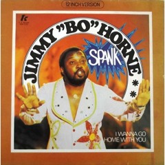 Jimmy Bo Horne - spank (mikeandtess edit 4 mix)