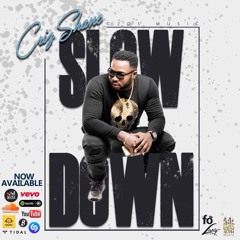 CRIZ SHANE - SLOW DOWN