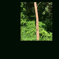 slur the buds  (demo)