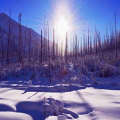 Spring Cleaning (rough mix)