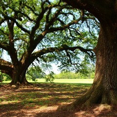 Great Fairy's Trap Fountain