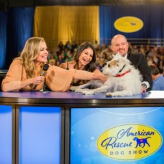 Hallmark Channel's American Rescue Dog Show - Main Theme (Caleb Martin)