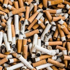 $abian Baby - THE $OUND(prod DjMa$terTaco)