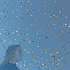 work- charlotte day wilson (sophia cover)