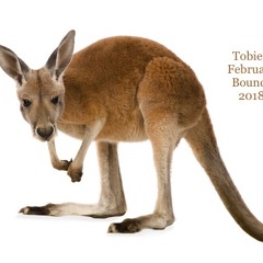 Tobie's February Bounce