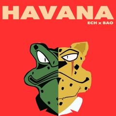 HAVANA x ECH VA BAO